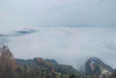 八载坚守生态农场建设，巴中农场纪实