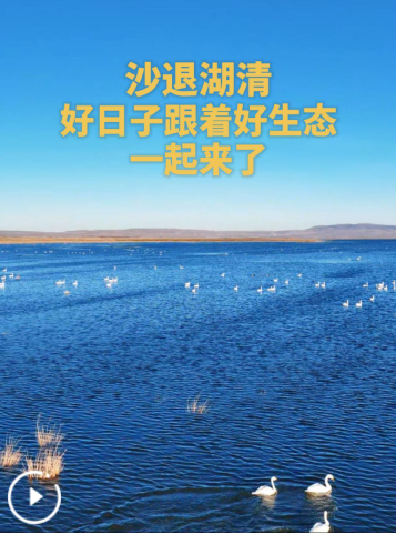 QQ_1792219367508