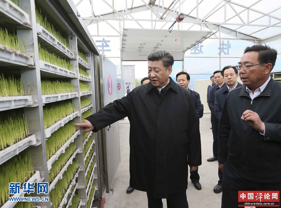 5月23日至25日，中共中央总书记、国家主席、中央军委主席习近平在黑龙江考察调研。这是5月24日上午，习近平在抚远市玖成水稻种植合作社了解箱式快速育秧技术流程。 新华社记者 兰红光 摄