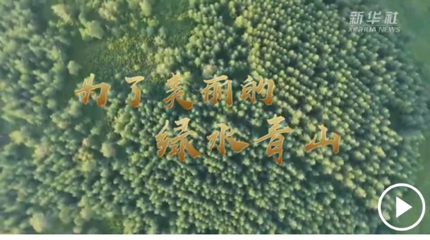 ϰƽǿ̬ط