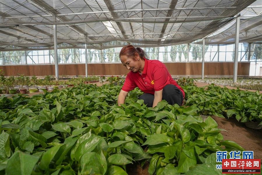 （新华全媒头条·图文互动）（11）旗引天山南北　谱写发展新篇——以习近平同志为核心的党中央关心新疆工作纪实