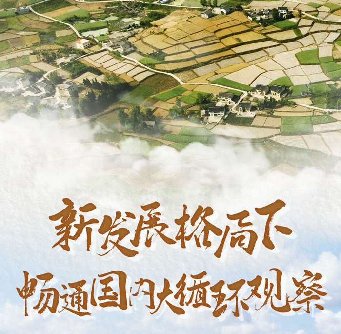 新发展格局下畅通国内大循环观察