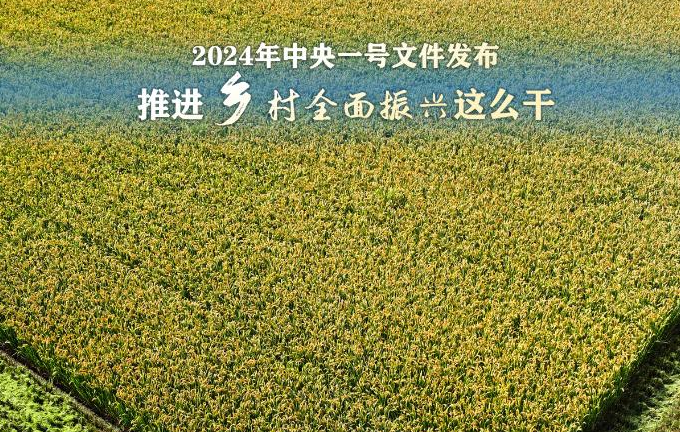 2024年中央一号文件：推进乡村全面振兴这么干